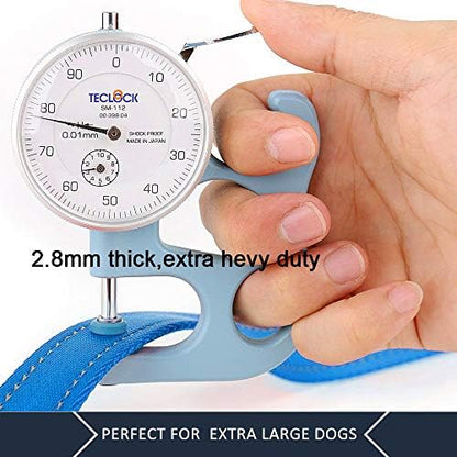 Plutus Pet Double Handle Dog Leash, 6 FT Long, for Medium Large Dogs - Image 5
