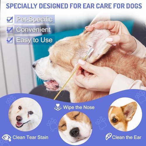 200PCS Large Cotton Swabs in Storage Box, 6 Inch Dog Ear Swabs - Image 3