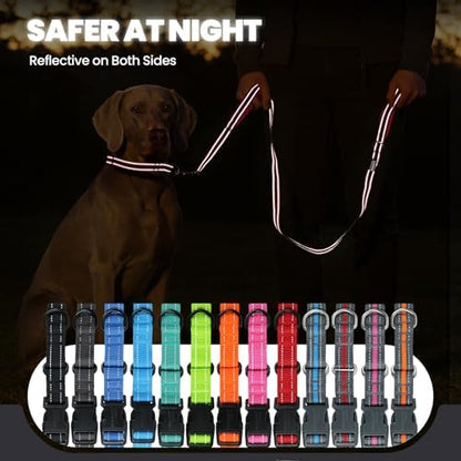 VIVAGLORY Double Handle Dog Leash Twingrip, 5ft x 1in, S, Black - Image 5