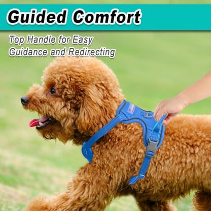 BARKBAY Dog Harness for Small Sized Dog No Pull Mesh 2 Clips Dog Vest - Image 4