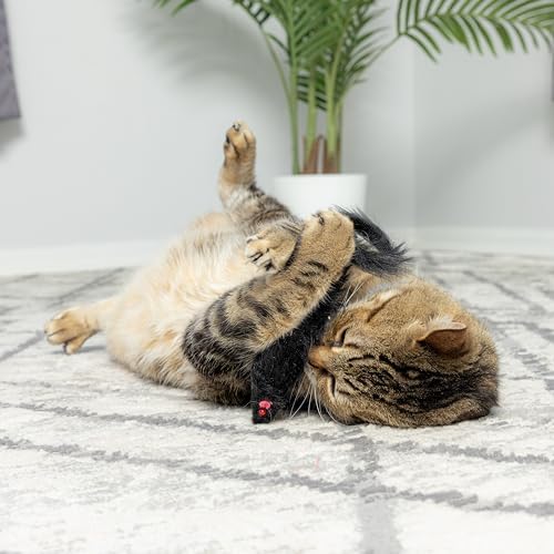 SPOT Shaggy Plush Ferret - Interactive Rattle and Catnip Fuzzy Toy for Indoor Cats and Kittens, Large Size Perfect for Pouncing, Chasing, Hunting, 11 Inches (Pack of 2) - Image 3