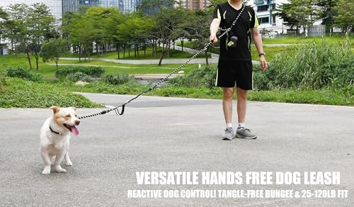 Heavy Duty Hands Free No Pull Bungee Leash 13ft Black Large Dogs - Image 5