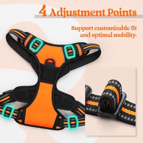 rabbitgoo Dog Harness, No Pull for Small Dogs with 2 Leash Clips, Pet Vest - Image 4