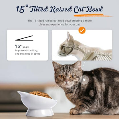 Raised Cat Food Bowl Ceramic 15° Tilted Cat Food Bowls Protect Cat's Spine Anti Vomiting Backflow Prevention for Adult, Kitten, and Small Dogs (Pink) - Image 3