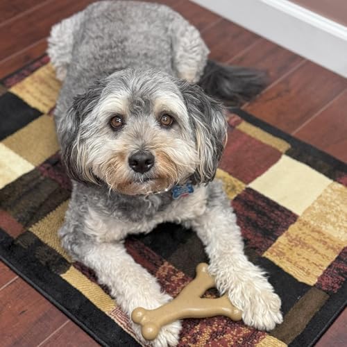 SPOT Bam-Bones Wishbone Dog Chew Toy, Bamboo Fiber Blend, Non-Splintering Durable Chew for Light to Moderate Chewers, Adult Dogs & Teething Puppies 25–50 lbs, Chicken Flavor, 7 in - Image 4