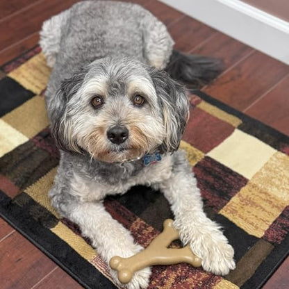 SPOT Bam-Bones Wishbone Dog Chew Toy, Bamboo Fiber Blend, Non-Splintering Durable Chew for Light to Moderate Chewers, Adult Dogs & Teething Puppies 25–50 lbs, Chicken Flavor, 7 in - Image 4