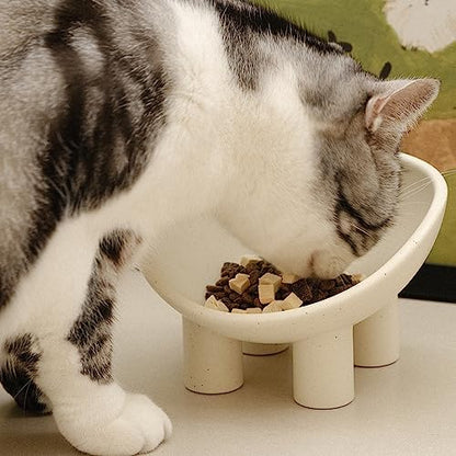 WENSHUO Elevated Cat Bowl, Ceramic Cat Food Bowl, 7 x 6.65 in, Matte Crème - Image 4