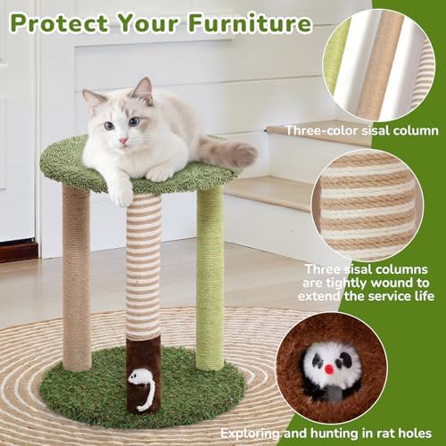 Woochpet Cat Scratching Post Small Cat Tree Tower with Soft Cat Bed for Cat - Image 5