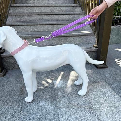 Double Ended Dog Leash,for Obedience Training Easy to Use,Lightweight,Soft for Large and Medium Dogs (Purple, 1M*2.5CM) - Image 5