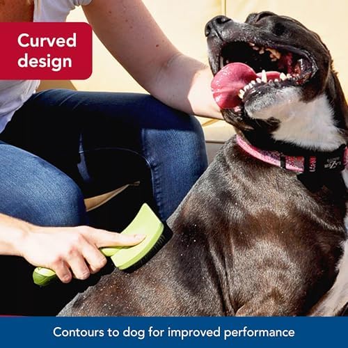 Coastal Pet Safari Curved Firm Slicker Brush - For Dog Grooming and Detangling All Hair Types - 6.5" x 3.06" - Image 4