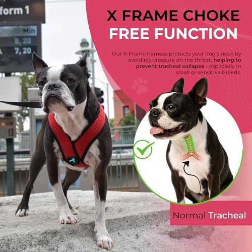 Gooby Comfort X Head-in Dog Harness, Choke-Free, Red, Large - Image 6