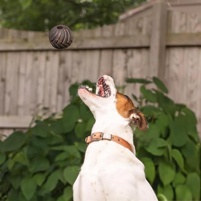 Mammoth Supreme Dog Toy Collection, Medium 3" Supreme Fetch Ball