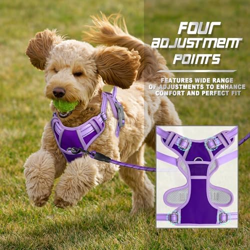 BARKBAY Dog Harness No Pull for Small Sized Dog Front Back Clips,Dog Vest - Image 6
