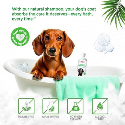 Natural Dog Shampoo for Short Coats, 16 Fl Oz - Image 3