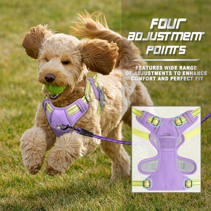 BARKBAY Dog Harness No Pull for Small Sized Dog Front Back Clips,Dog Vest - Image 6