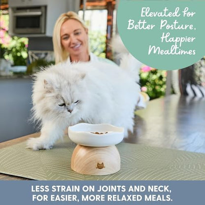 The Cat Ladies Egg Cat Food Bowl - Cute Cats Bowl - Elevated Ceramic Food Bowls - Ceramic Raised Food Bowls - Elevated for Spinal Alignment - Prevents Whisker Fatigue - Wood StandCat Bowl - Image 7