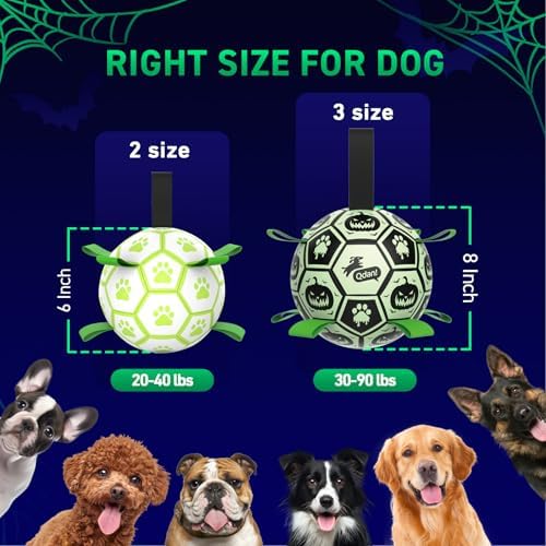 QDAN Glow in The Dark Halloween Dog Toys,Dog Balls with Straps - Image 5