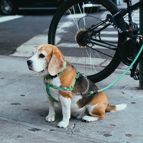 Metal Double Dog Leash Chew Proof Chain Leash 2 Way No Tangle Coupler Anti Chew Dog Leash Extension Splitter Lead for 2 Small Dogs Walking (40cm) - Image 3