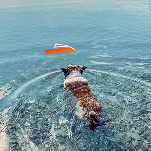 Floating Dog Water Toys, 2 Pack Interactive Pool Fetch Bumper - Image 5