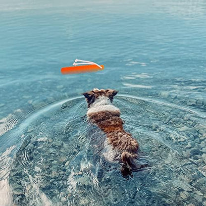 Floating Dog Water Toys, 2 Pack Interactive Pool Fetch Bumper - Image 5