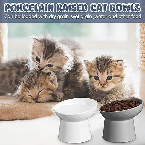 Tanlade 4 Pcs Ceramic Raised Cat Bowls, Elevated Tilted Cat Bowl for Food Water, Stress Free, Backflow Prevention, Dishwasher Microwave Safe, Feeder Dish for Indoor Kitten, Small Dogs(White and Grey) - Image 6