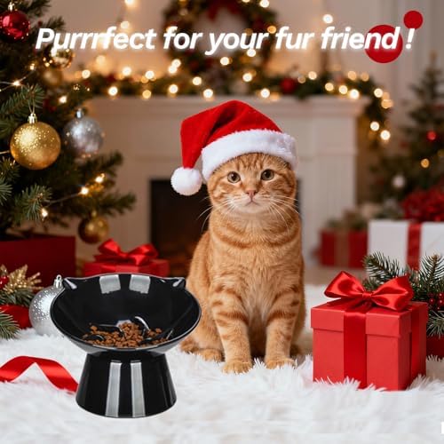 Detachable Slow Feeder Cat Bowl- Elevated Cats Feeder Tilted, 7 Inch Large Extra Wide Raised Cat Food Bowl Whisker Friendly, for Indoor Cats and Small Dogs Anti-Vomiting Black - Image 2