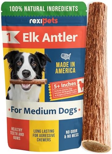 100% Natural - Elk Antlers for Dogs - Naturally Shed in USA - Dog Antler Chews for Medium Breeds - Natural, Long-Lasting Treats for Aggressive Chewers - Dog Chews - No Smell & No Mess - Medium by Rexipets