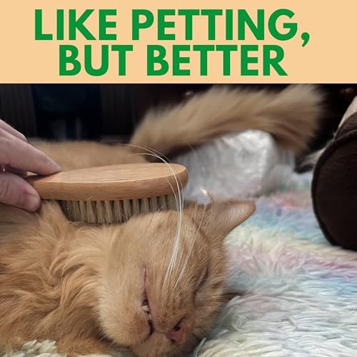 GranNaturals Boar Bristle Soft Cat Brush for Indoor, Outdoor, Short Haired Cats, Kittens, Small Dog, Rabbit, Furry Pets - Gentle Grooming on Sensitive Hair Coat & Tail with Durable Wooden Handle - Image 5