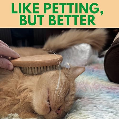 GranNaturals Boar Bristle Soft Cat Brush for Indoor, Outdoor, Short Haired Cats, Kittens, Small Dog, Rabbit, Furry Pets - Gentle Grooming on Sensitive Hair Coat & Tail with Durable Wooden Handle - Image 5
