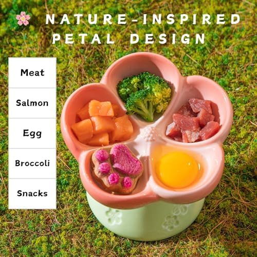 Ceramic Cat Divided Bowl Flower Shaped (5 Sections) - 4 Inch Elevated Design Cute Slow Feeder Bowl, Heavy Base, Under-Glazed Gradient Color - Separates Dry/Wet Food, Veggies, Fruits & Treats - Image 6