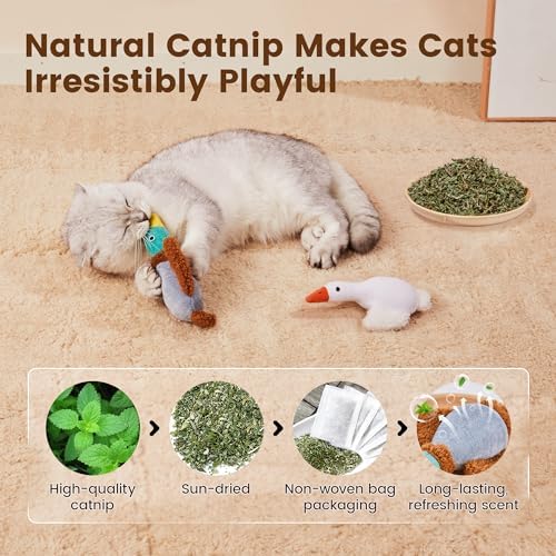 Potaroma Birds Cat Toys, 2 Pack Catnip Toys Soft Durable - Image 3