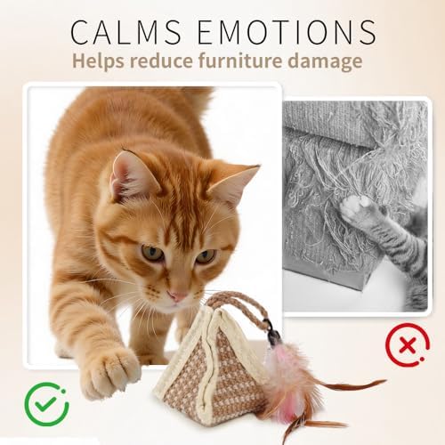 PAZ'S GIFT Cat Toy with Organic Catnip,Feathered Soft Sisal Material, Interactive Scratching and Kicking Chew Toy for Indoor Kittens - Image 3
