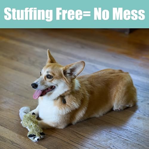 SPOT Skinneeez Raccoon 14 Inch Stuffing-Free Plush Dog Toy – Soft, Mess-Free Toy with One Squeaker for Small & Medium Dogs, Best for Light to Moderate Chewers (Pack of 2) - Image 4