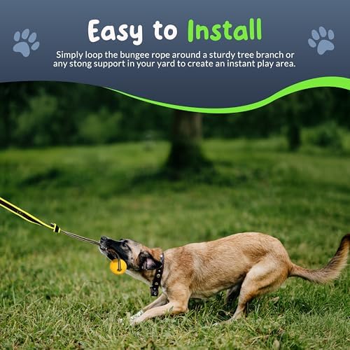 Bungee Tug Toy for Dogs - Outdoor Tree Rope Tether Tug 5 Pack - Spring Pole Dog Toy for Small to Large Breeds - Backyard Flirt Pole Exercise Toy - Image 4