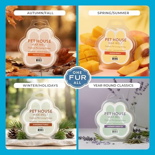 Lemon Cupcake Spring and Summer Wax Melts Plant-Based Wax, Pet House - Image 4