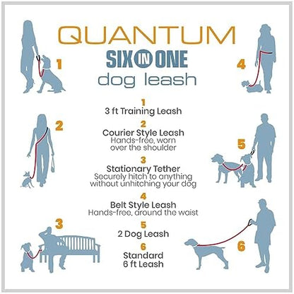 Kurgo Quantum 6 in 1 Dog Leash, Purple - Image 5