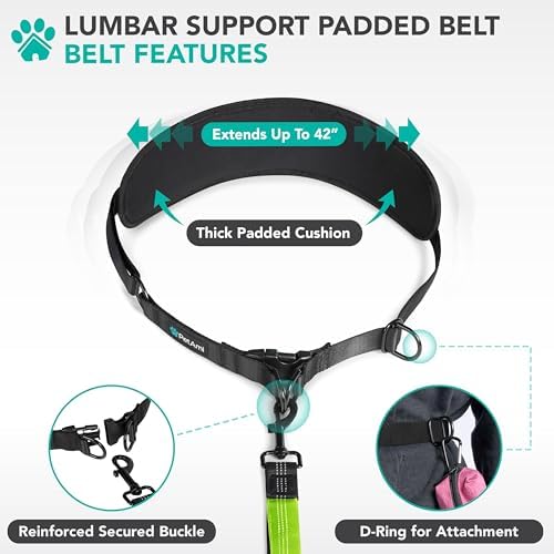 PetAmi Hands Free Dog Leash with Padded Lumbar Waist Belt, Shock Absorbing Bungee, Quick Release Buckle, Dual Handle, Running Jogging Walking Leash for Medium Large Dogs Up to 125 lbs, Purple - Image 4