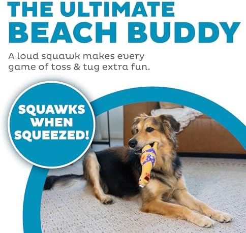 Outward Hound Squawkers Squeaky Latex Dog Toy, Henrietta, 11" - Image 2