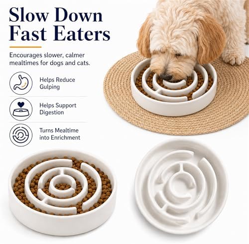 Ceramic Slow Feeder Dog Bowl 1.5 Cup Puzzle Dish for Small Medium Dogs - Image 5