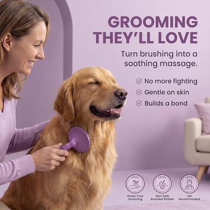 Round Bristle Pet Brush for Dogs and Cats - Soft Dog Brush for Grooming Short or Long Hair - Gentle Tool for Sensitive Skin Removes Dander, Dirt, and Detangles (Purple) - Image 3