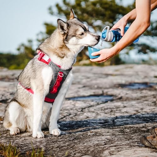 Kurgo Gourd 2-in-1 Dog Travel Water Bottle & Bowl - Image 4