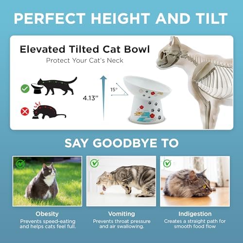 Necoichi Ceramic Elevated Cat Food Bowl, 15° Tilted (Fuji, Regular Tilted) - Image 6