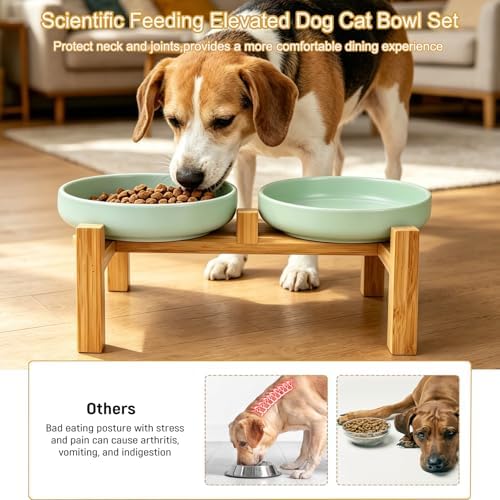 Shallow Elevated Cat Bowls with Bamboo Stand, 6.1 Inch Wide Ceramic Cat Dish Whisker Friendly, 2 Pack Pet Food and Water Plates - Image 3