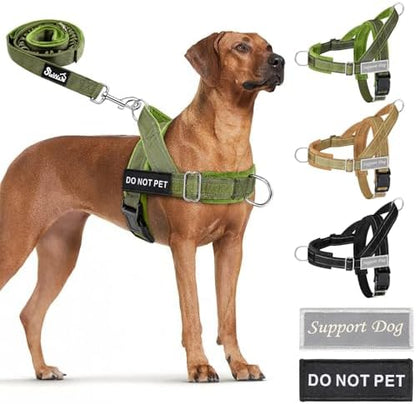 SlowTon No Pull Dog Harness and Leash Set - Heavy Duty, Soft Padded by SlowTon