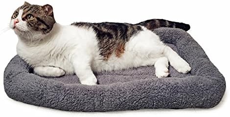 Cat Bed Washable Indoor Cat Cushion Bed, Soft and Cozy Plush Pet Bed-M by BillionChains