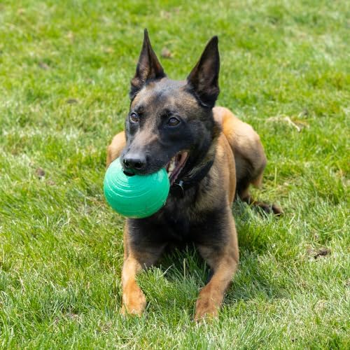 PetKORE: KoreFlex Ball - 4.75" Large, Green, Dog Toy, Shape Maintaining Rubber, Treat Stuffing Center, Bounce-Fetch-Chew, Pet Indoor-Outdoor Play - Image 5