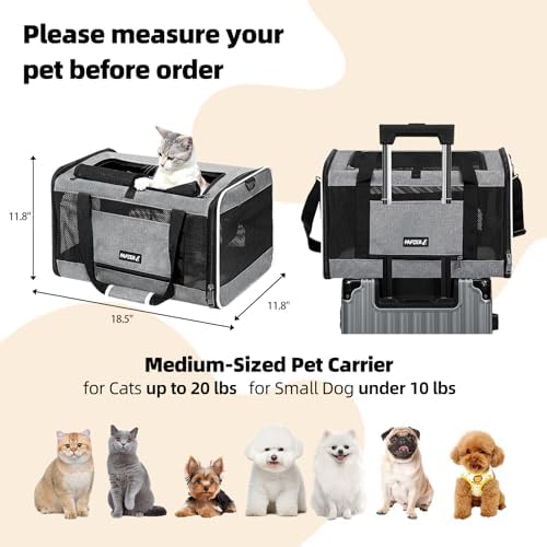 Cat Carrier Soft-Sided Travel Bag for Medium to Large Cat Over 15lbs - Image 2