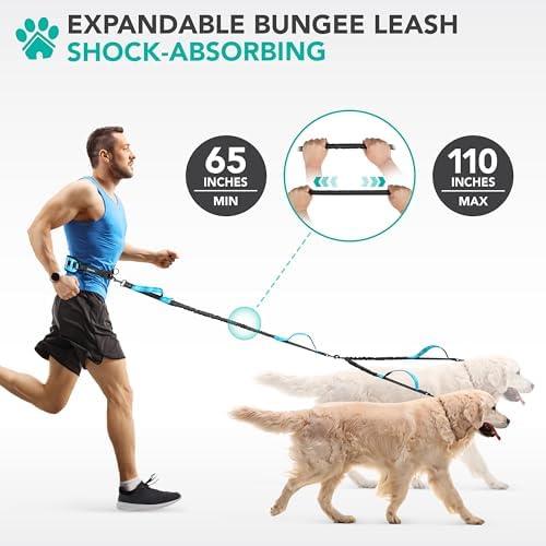 PetAmi Hands Free Double Dog Leash with Padded Lumbar Waist Belt, 360 No-Tangle Swivel Coupler, Bungee Shock Absorbing Dual Leash for Two Dogs Medium Large, Reflective, Turquoise - Image 5