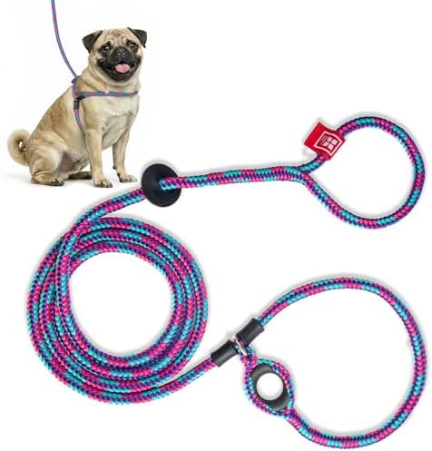 Harness Lead No Pull Dog Harness and Leash Set, Anti Pull Dog Harness, One-Piece Cushioned Rope Safely Prevents Escaping and Pulling (Small/Medium, Reef) by HarnessLead