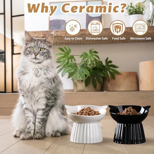 Ceramic Raised Cat Bowl，Tilted Raised Bowl Anti Vomit Bowls for Indoor Cats Whisker Friendly Pet Feeder for Cats Puppies, Microwave and Dishwasher Safe - Image 6